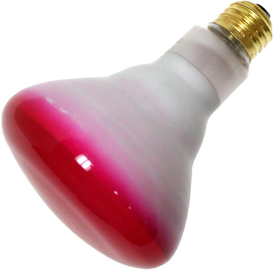 Bulbrite Incandescent BR30 Medium Screw Base (E26) Light Bulb, 75 Watt, Pink