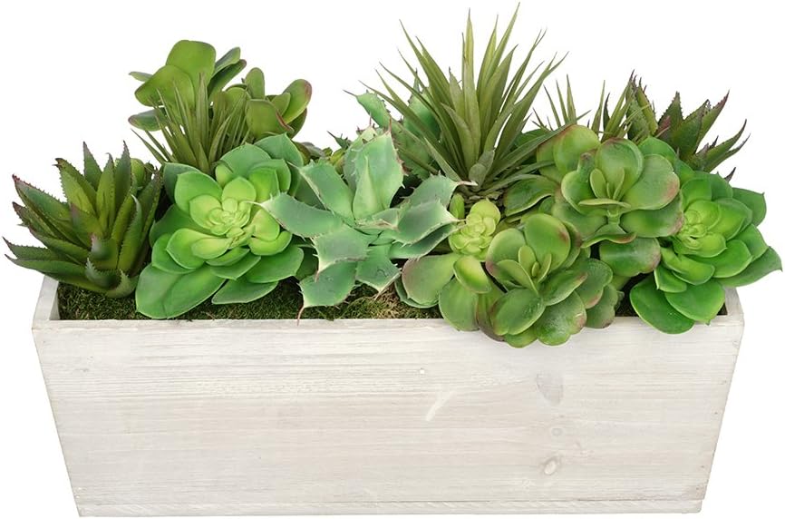 House of Silk Flowers Artificial Succulent Garden in Rectangle Planter (Cream Wood)