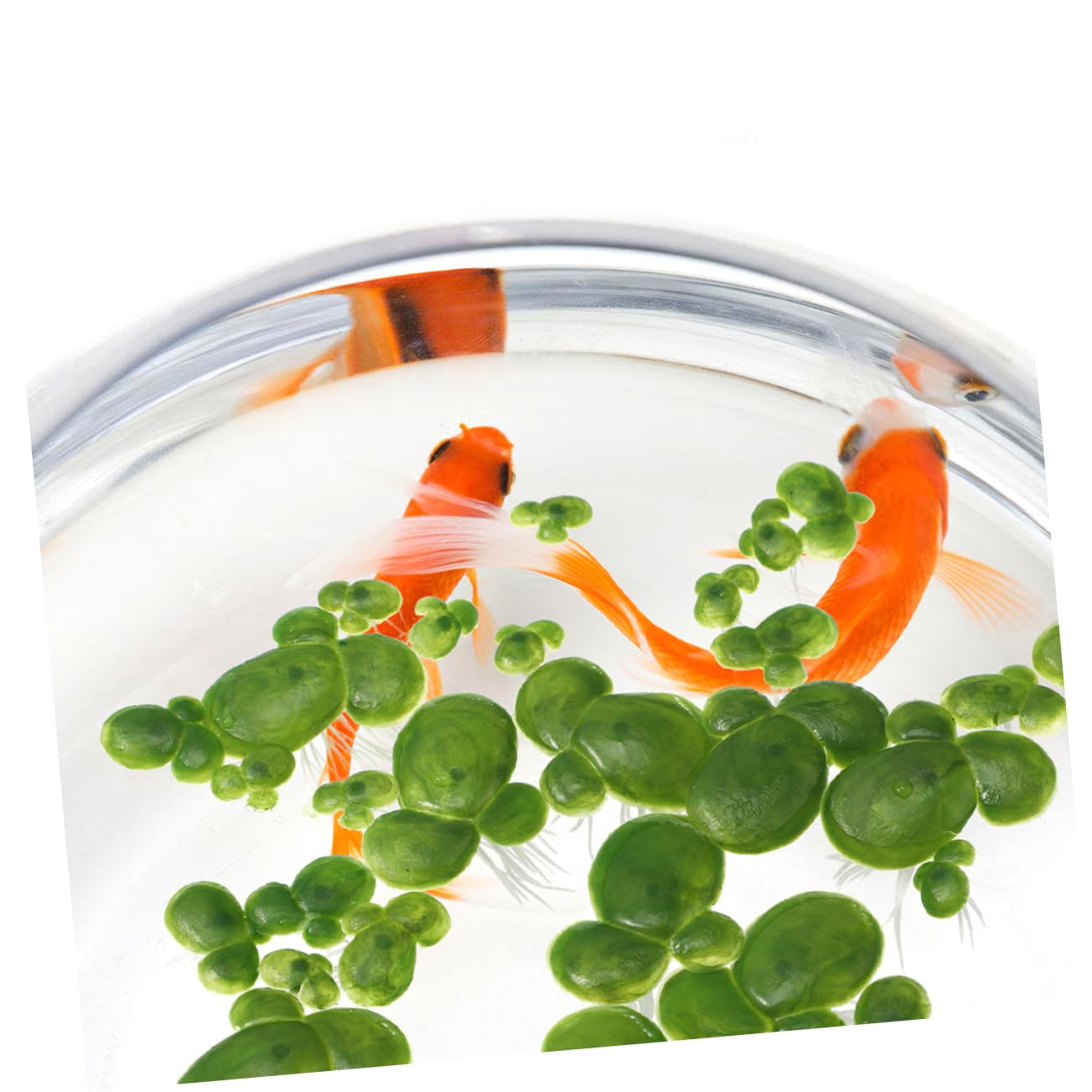 IMIKEYA 450 piante galleggianti artificiali per acquari, decorazione di acquari, piante di simulazione accessori per acquari, effetto naturale e ombra per pesci