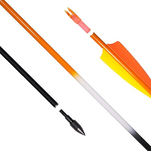 Miniatura 10 de 31Inch Carbon Arrows, Targeting Practice Hunting Arrow, Turkey Feather Fletching Arrow, with Removable Tips and nocks for Recurve & Compound Bow