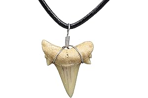 Natural Boys Shark Tooth Necklace: Fossil Teeth for Courage, Confidence, and Charm