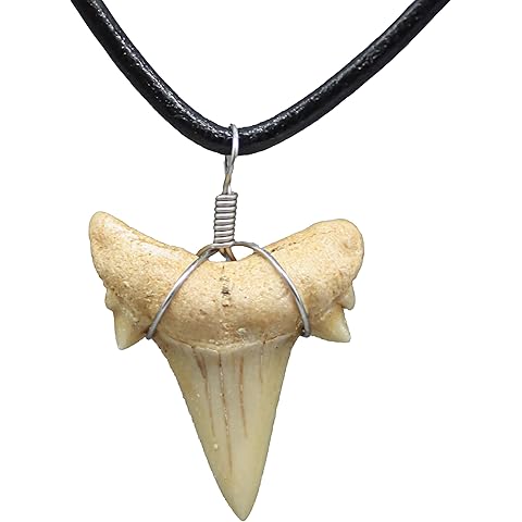 Natural Shark Tooth Necklace for Men, Genuine Fossil Shark Teeth, Cool Sharktooth Beach Necklaces for Women, Beachy Surfer Choker Jewelry