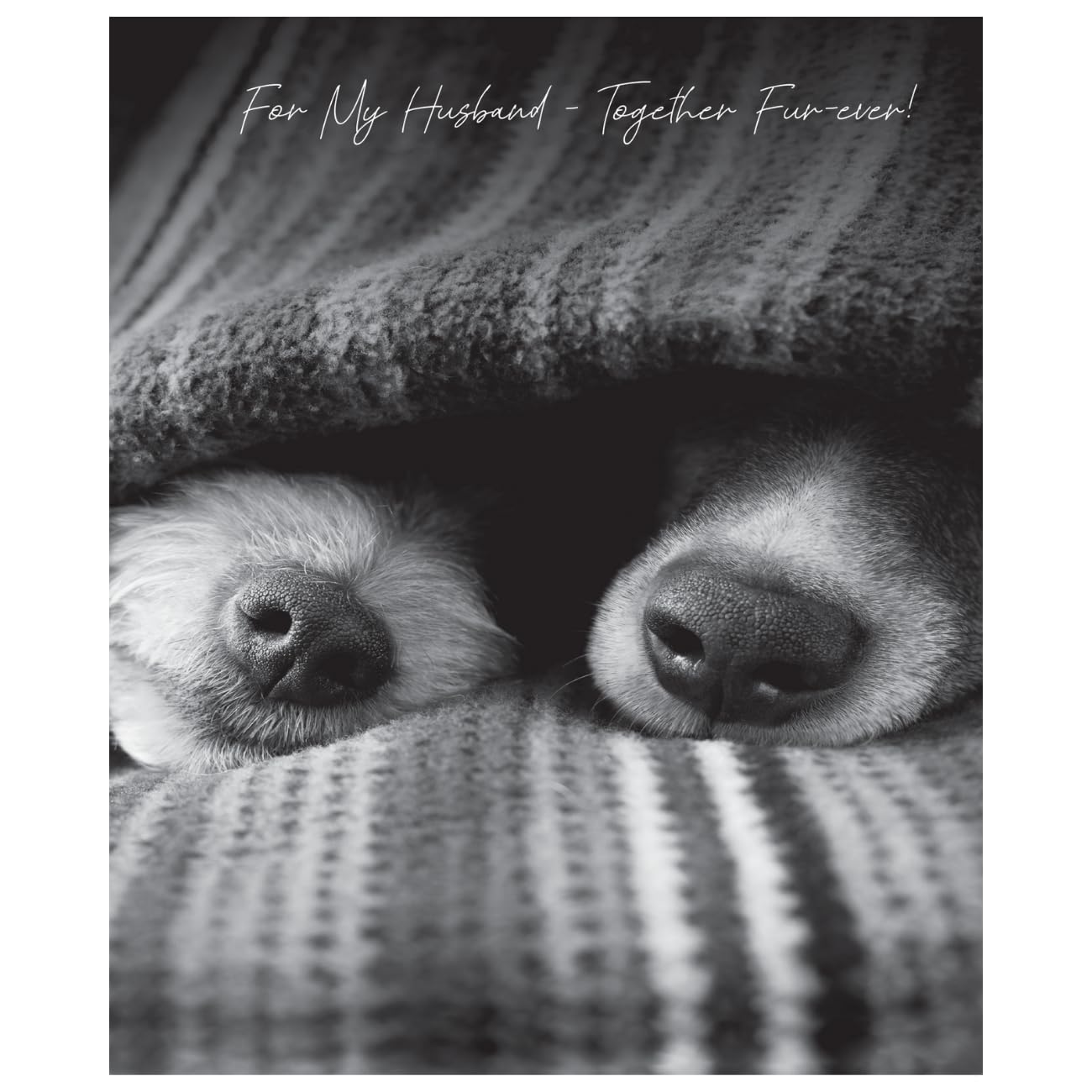 Emotional Rescue Husband Birthday Card, Together Fur-ever,! - Two Dogs Under Blanket, Greyscale