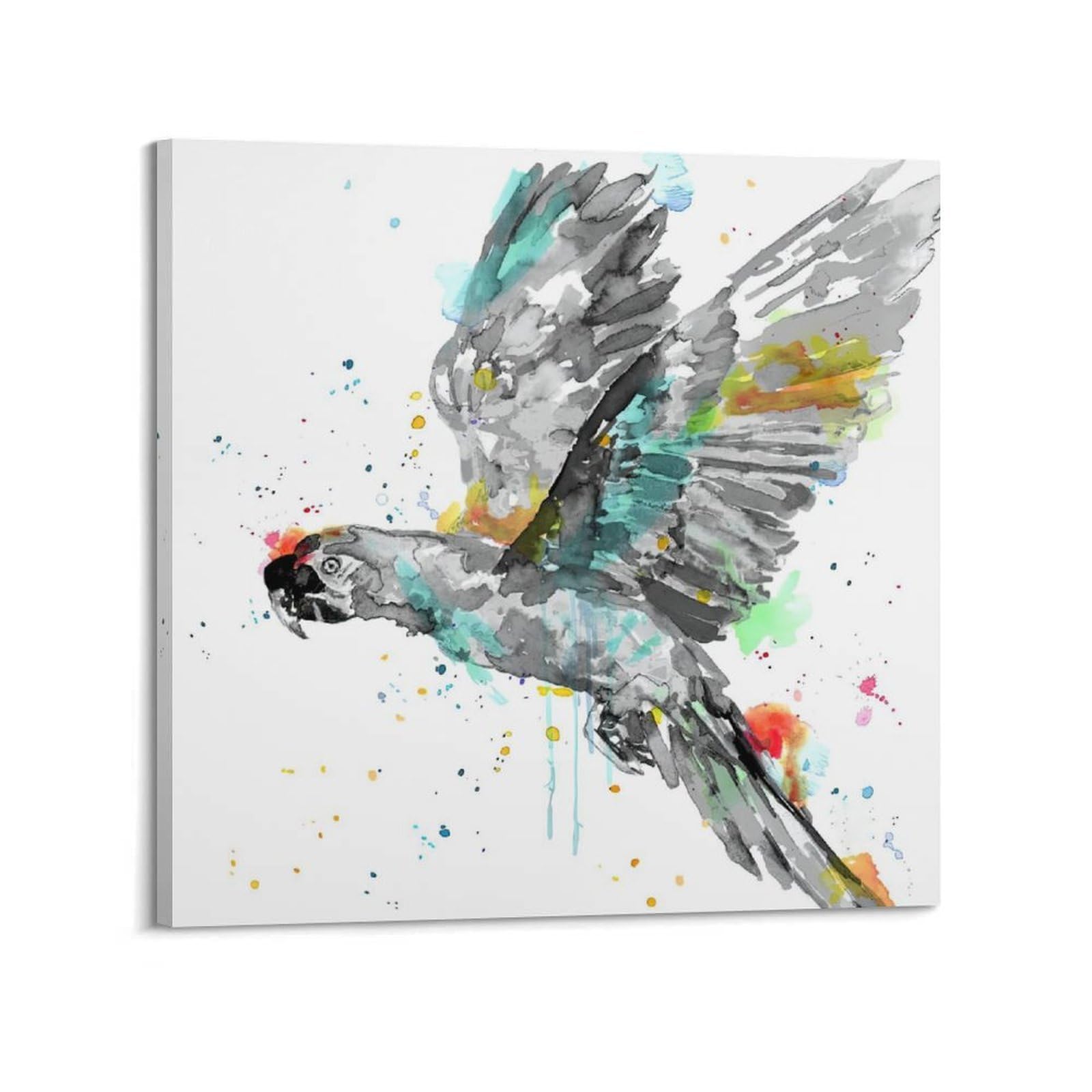 Xkuga Boys Frame-Style Flying Parrot Animal Poster Wildlife Colorful Splash Modern Decorative Canvas Prints - Ideal Wall Art For Family, Man Cave, Game Room, & Girls Bedroom 28X28inch(70X70cm)