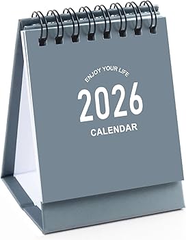 Amazon.com : Mini Desk Calendar 2025-2026 - July 2025 to Dec