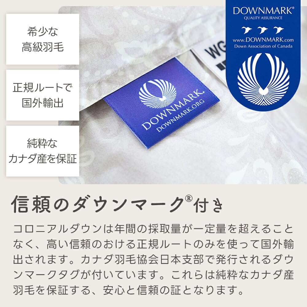 Amazon|ロマンス小杉 羽毛 肌掛け布団 シングル 【希少な Amazon|ロマンス小杉 羽毛 肌掛け布団 シングル 【希少な