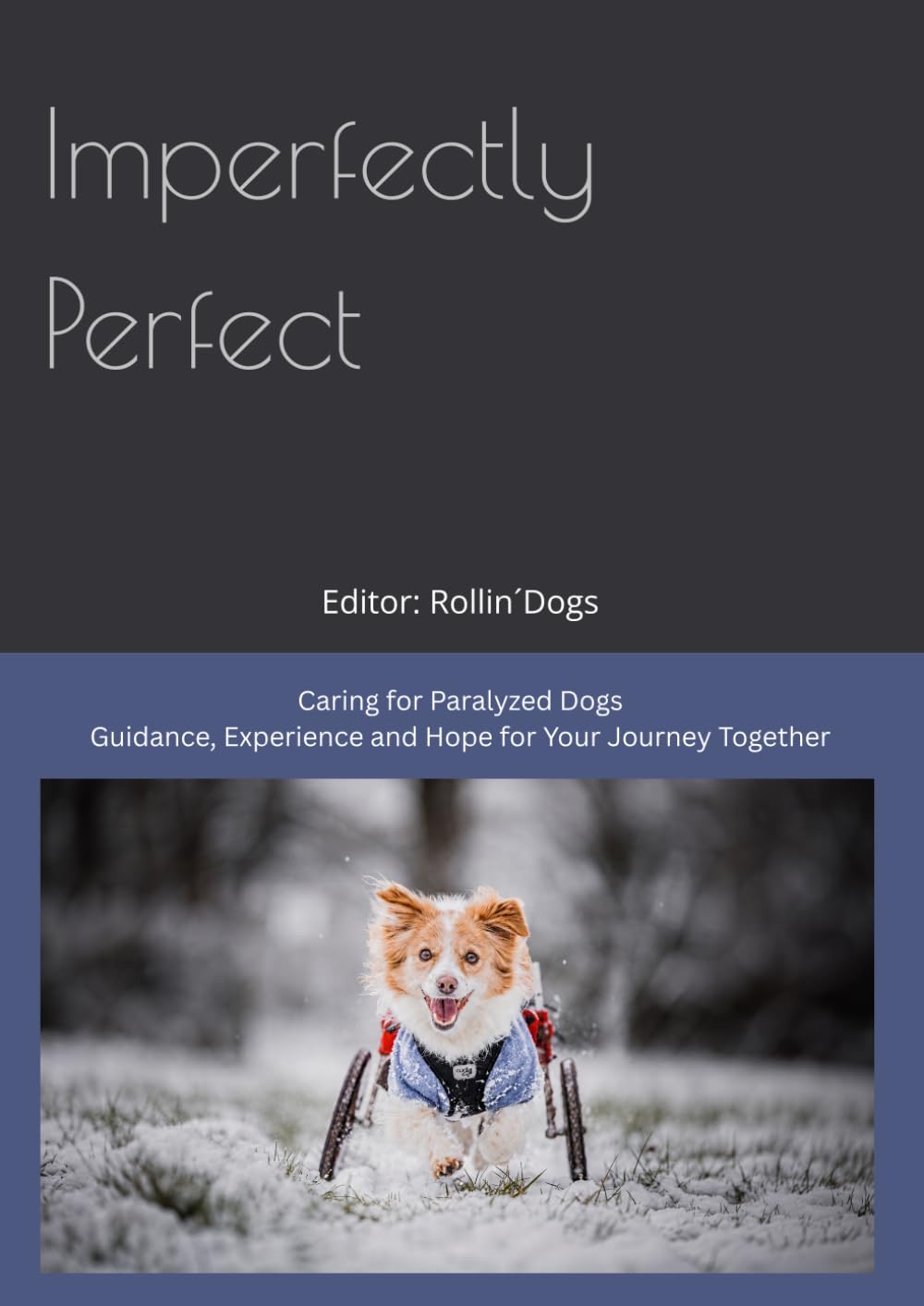 Imperfectly Perfect - Caring for paralyzed dogs: Guidance, Experience and Hope for Your Journey Together (Unperfekt Perfekt)