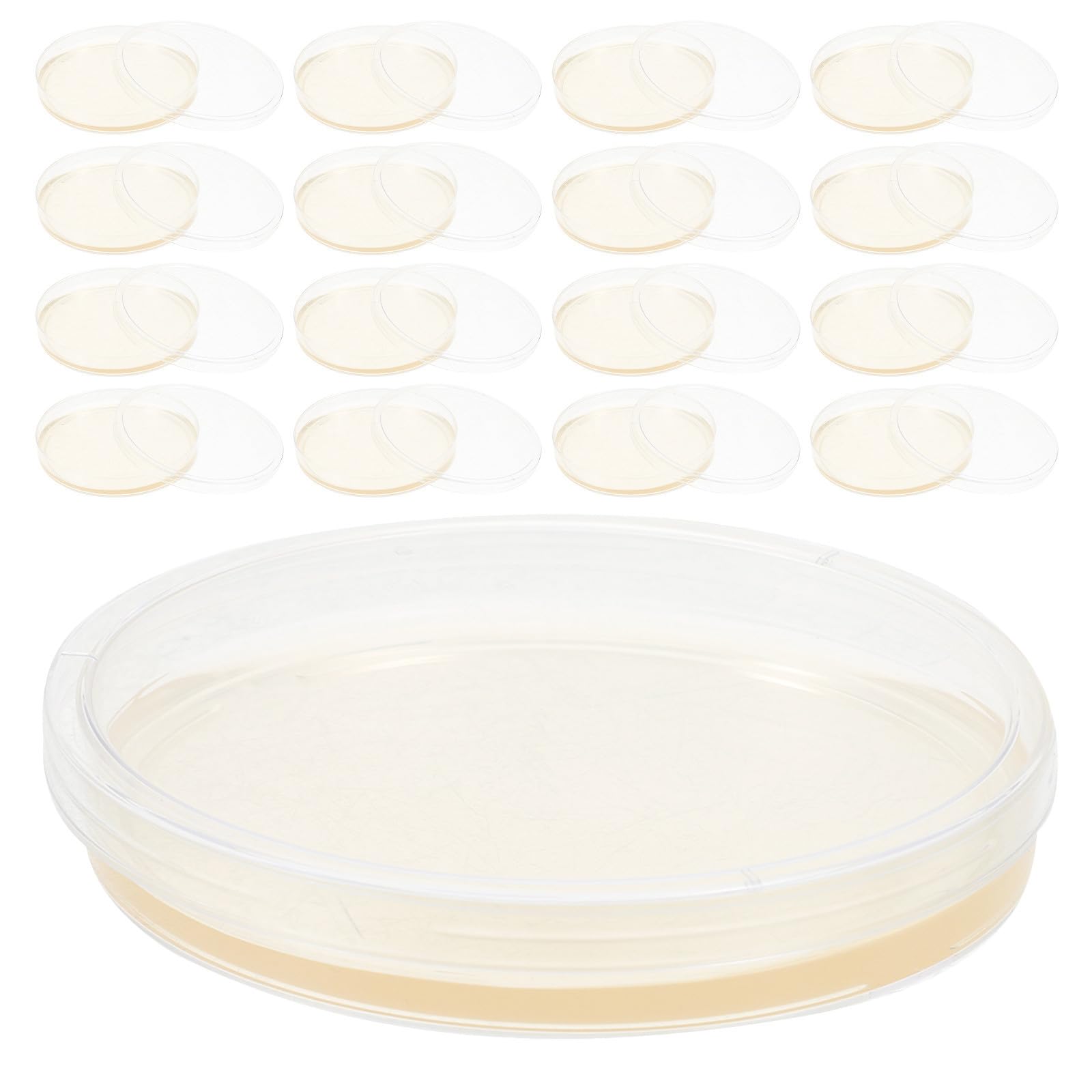 Operitacx Placas de Petri de Agar Nutritivo de 9 CM, 20 Unidades Tapa de Plástico Estéril para Análisis Microbiológicos y Ensayos en Entornos Educativos