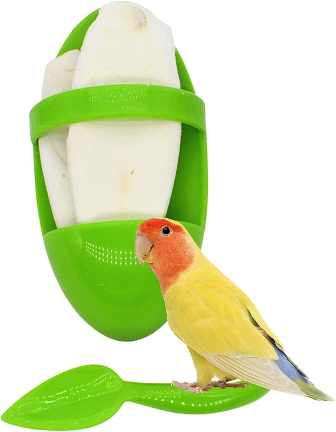 Jibia para pájaros | Taza de alimentación para periquitos, accesorios para jaulas de pájaros,Accesorios para jaulas de pájaros, almacenamiento de frutas y verduras para periquitos, periquitos, Luckyki