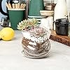 Product Photo 6