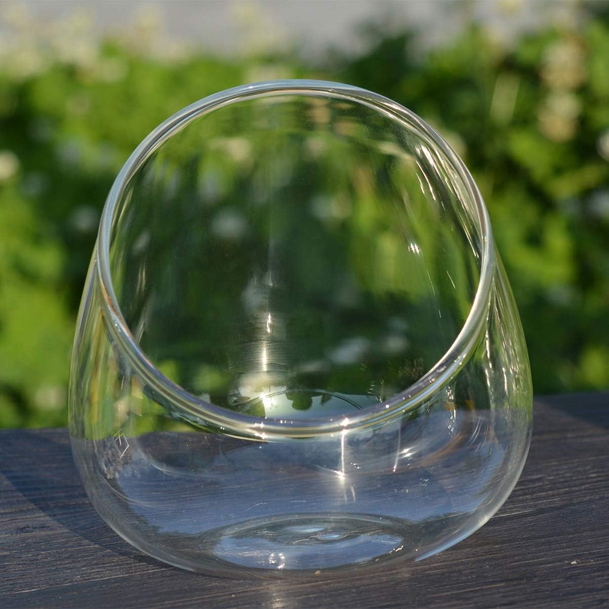DOITOOL Candy Jar Glass Terrarium Container Bowl Vase Bubble Miniature Micro Landscape Clear Planter Fruit Jar 12X12CM Candy Dish Plant Holder DIY Display Box Globe Flower Vase