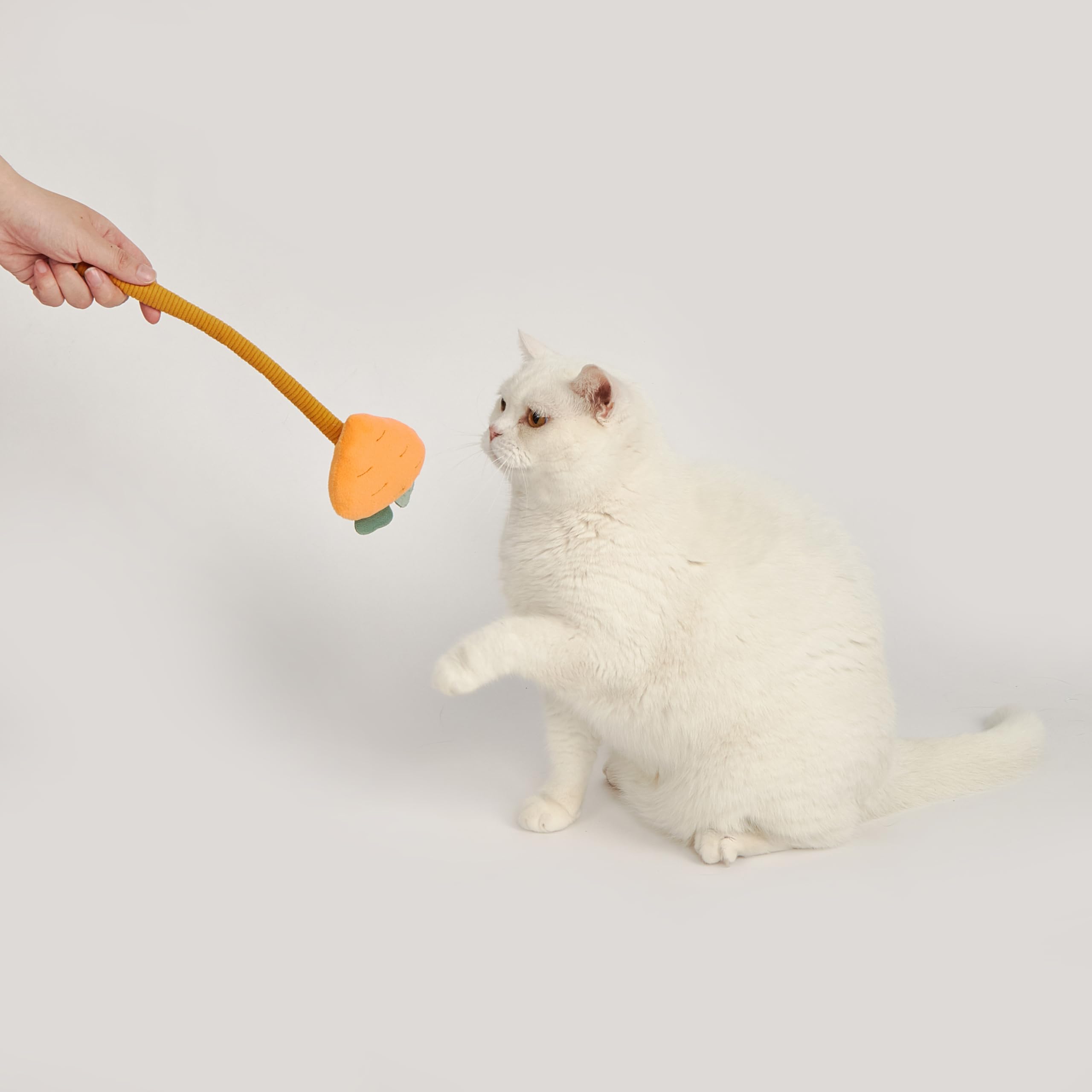 FOFOS | Juguete Interactivo | Tablero con Zanahoria y Bolas | Com Catnip - para Gatos