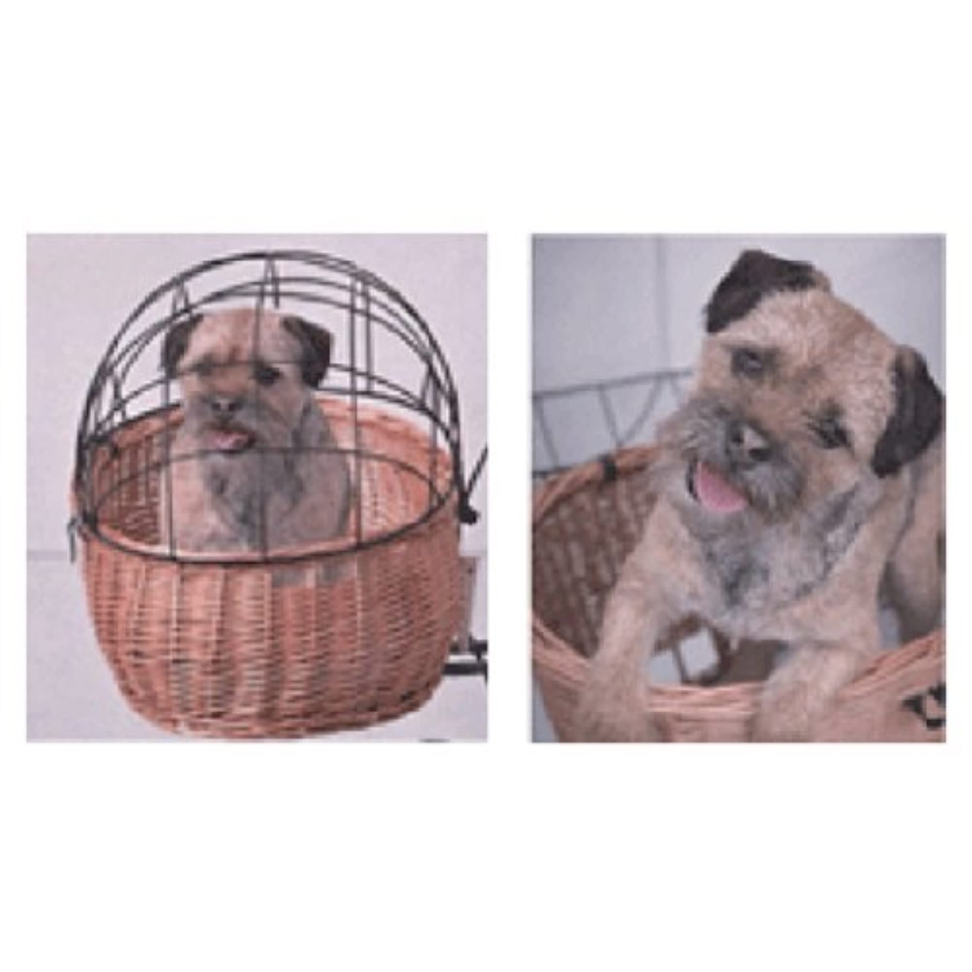 Basil Blossom Bicycle Basket (White/Brown/Gold)