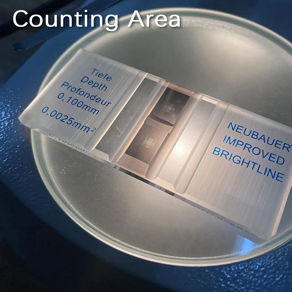 Coperture In Vetro Per Emocitometro - 26x22mm, Confezione Da 500 Pezzi, Da Laboratorio - Foto 2