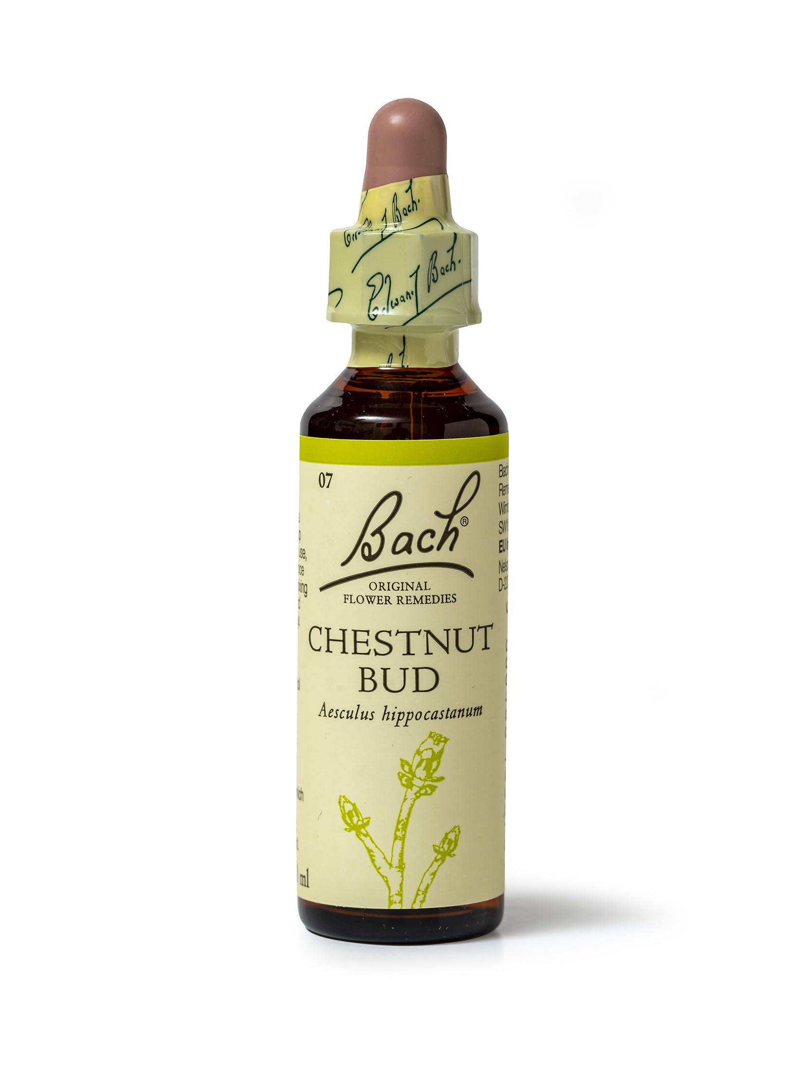 Bach Original Flower Remedies (Chestnut Bud) Live The Day, Learn From Mistakes, Emotional Wellness, Natural Flower Essence, 20ml