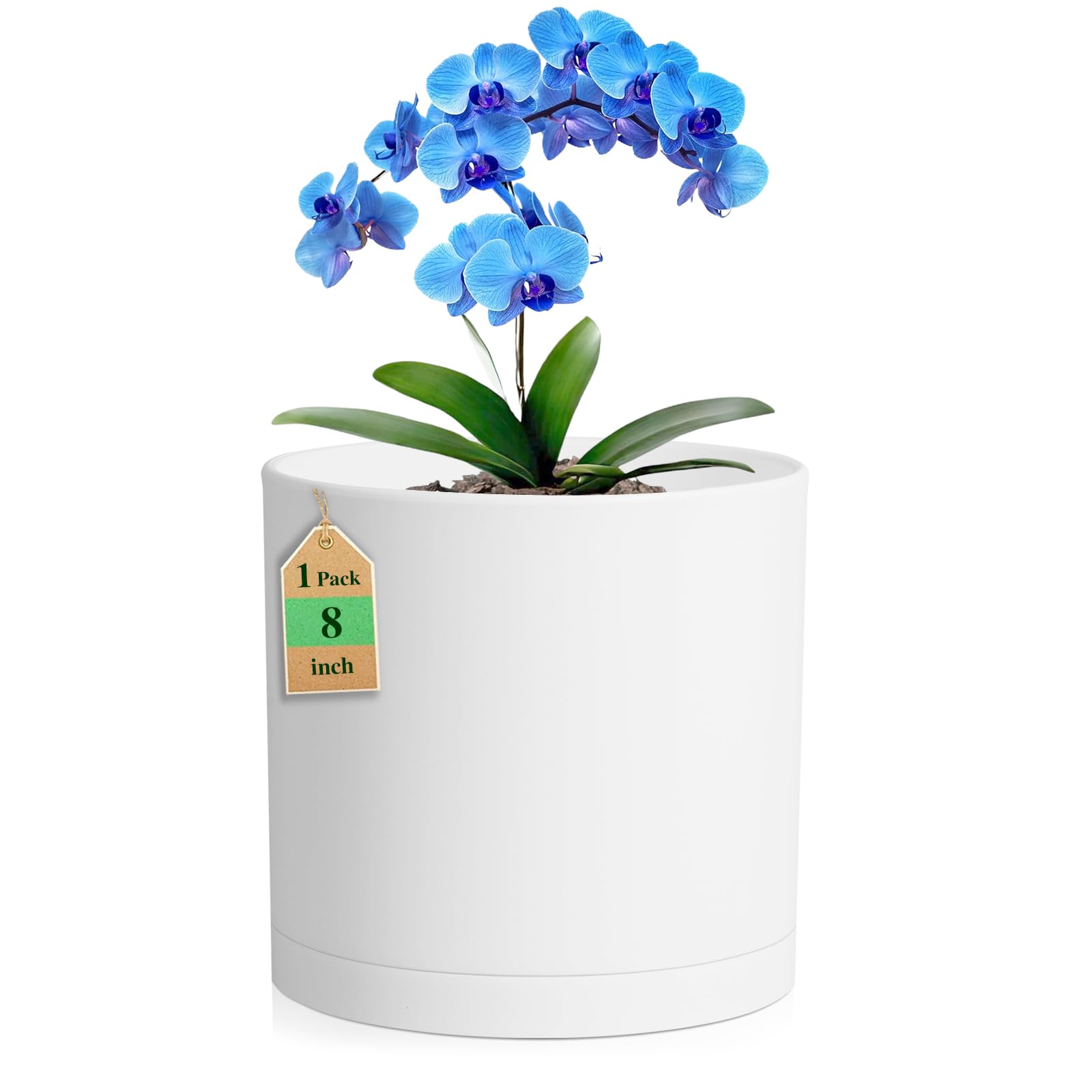 Amazon.com: WSMKSZ 8 Inch Cylinder Plant Pots for Indoor Outdoor