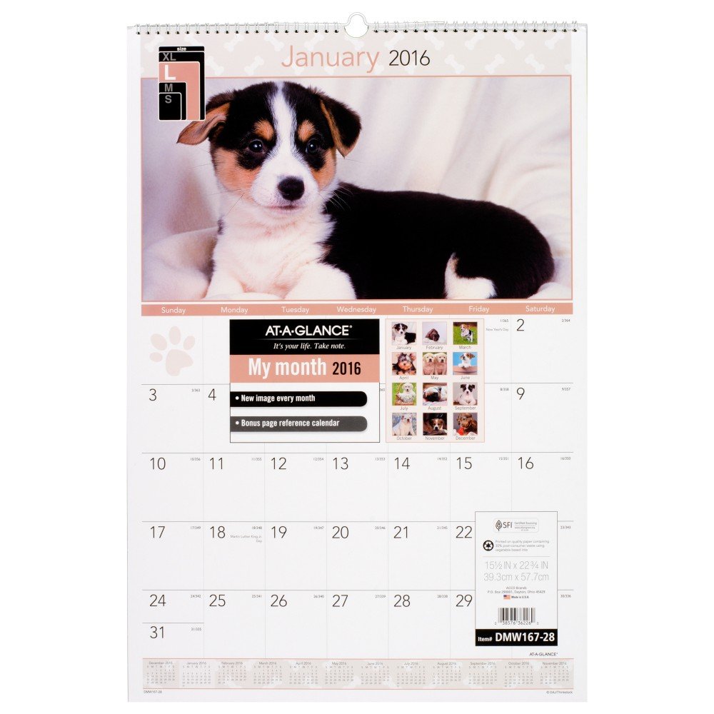 AT-A-GLANCE calendario de pared mensual 2016, cachorros, 15 – 1/2 x 22 – 3/4 pulgadas (dmw167 – 28) by de un vistazo