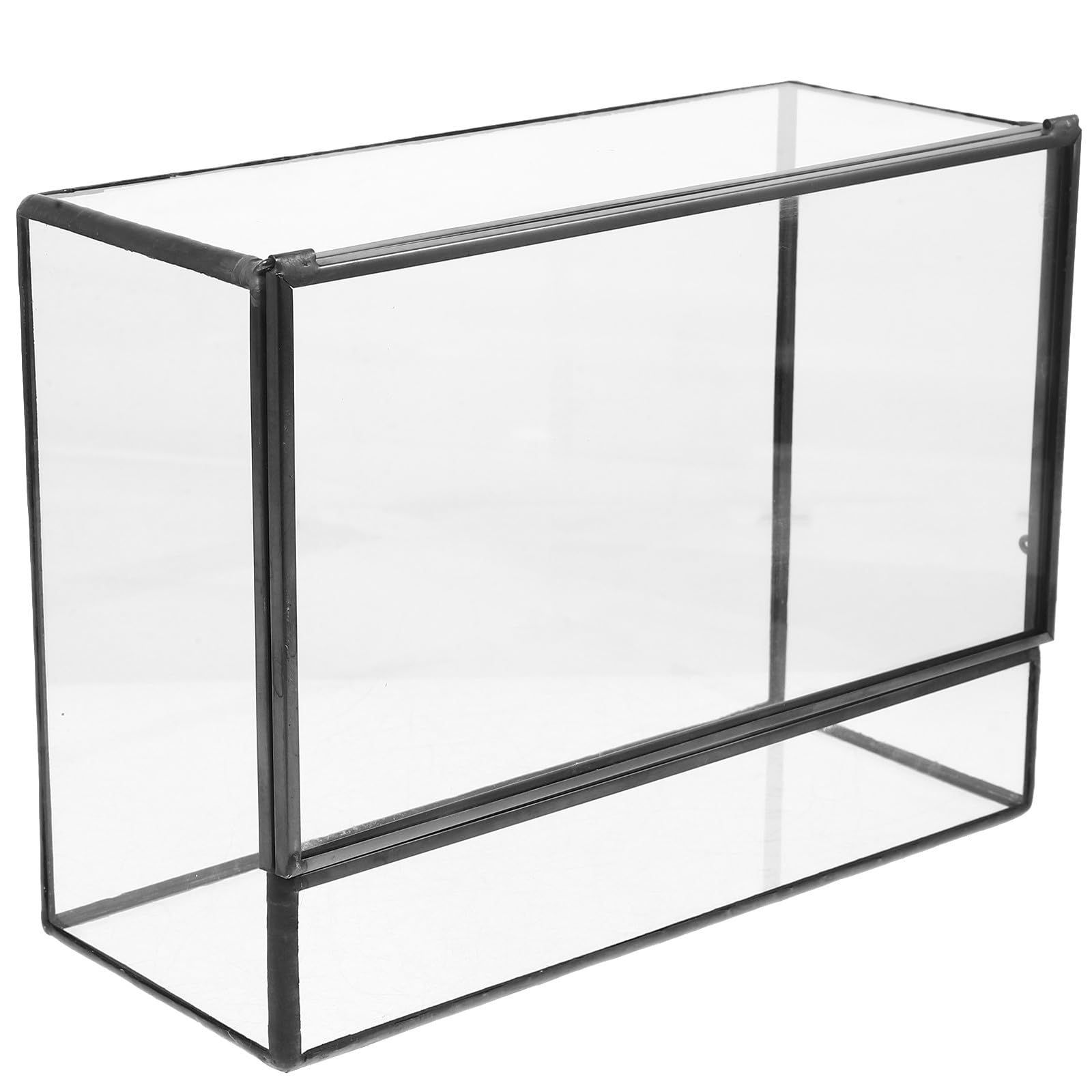DOITOOL Terrarium in Vetro, Vaso Terrario Ecosistema, da Tavolo e Soggiorno, Trasparente, Fai da Te, per Piante e Muschio