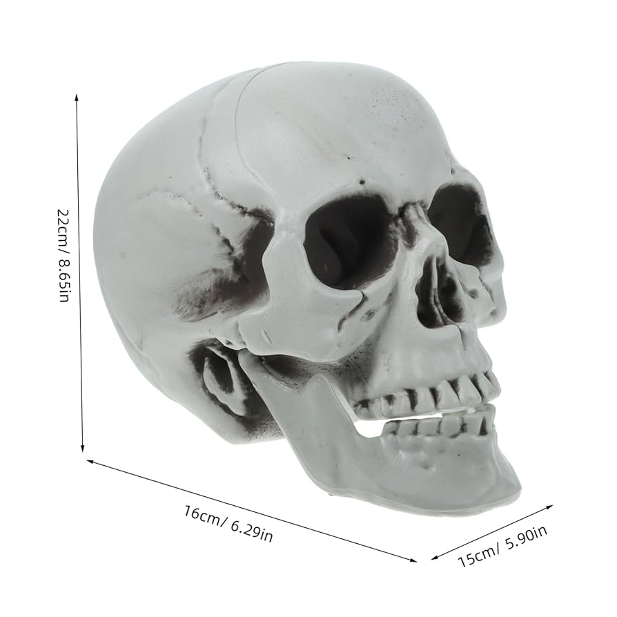 アンティーク 19s スカル　髑髏　骸骨　ハロウィン　ポストカード　死神　レトロ ビンテージ スカル 髑髏 骸骨 ハロウィン 貯金箱 死神 ミッド