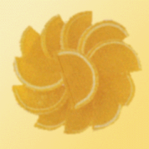 Fruit Slices Lemon