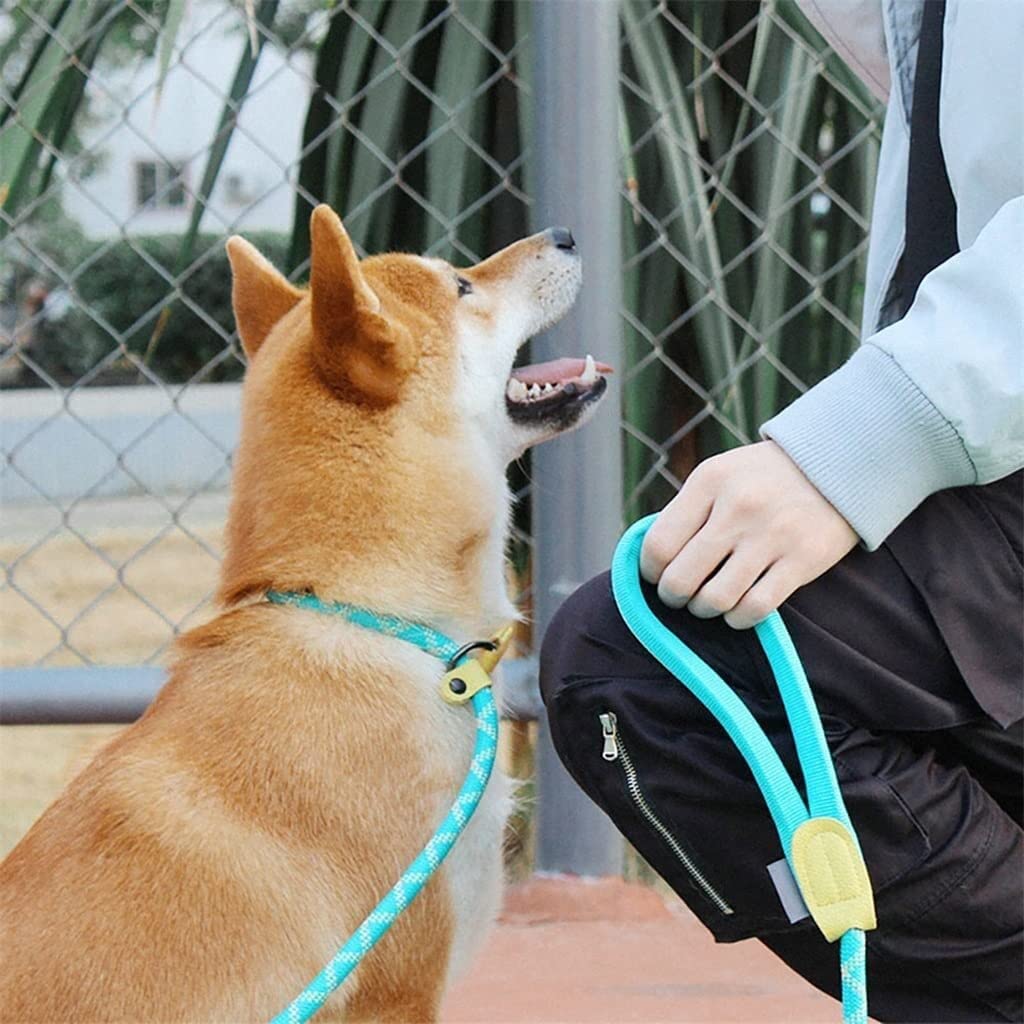 Morbido Guinzaglio Per Cani Guinzaglio per cani per guinzaglio Corda intrecciata riflettente per impieghi gravosi Collare ad anello regolabile Antiscivolo Flexi(Yellow)