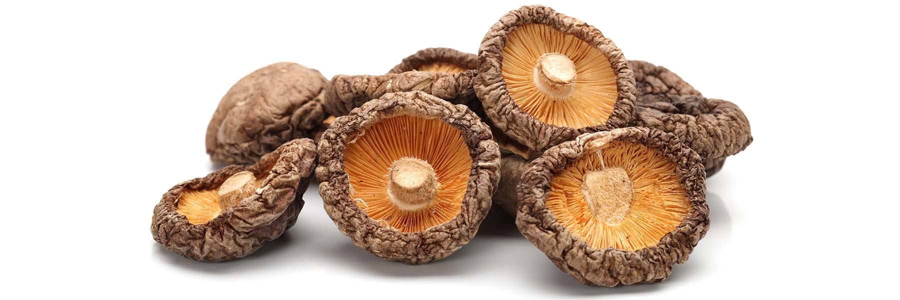 Pilze Wohlrab - 500g Bio Shiitake – Geräucherte Pilze Vegan / Shiitake Pilze Getrocknet & Geräuchert – veganer Speckersatz