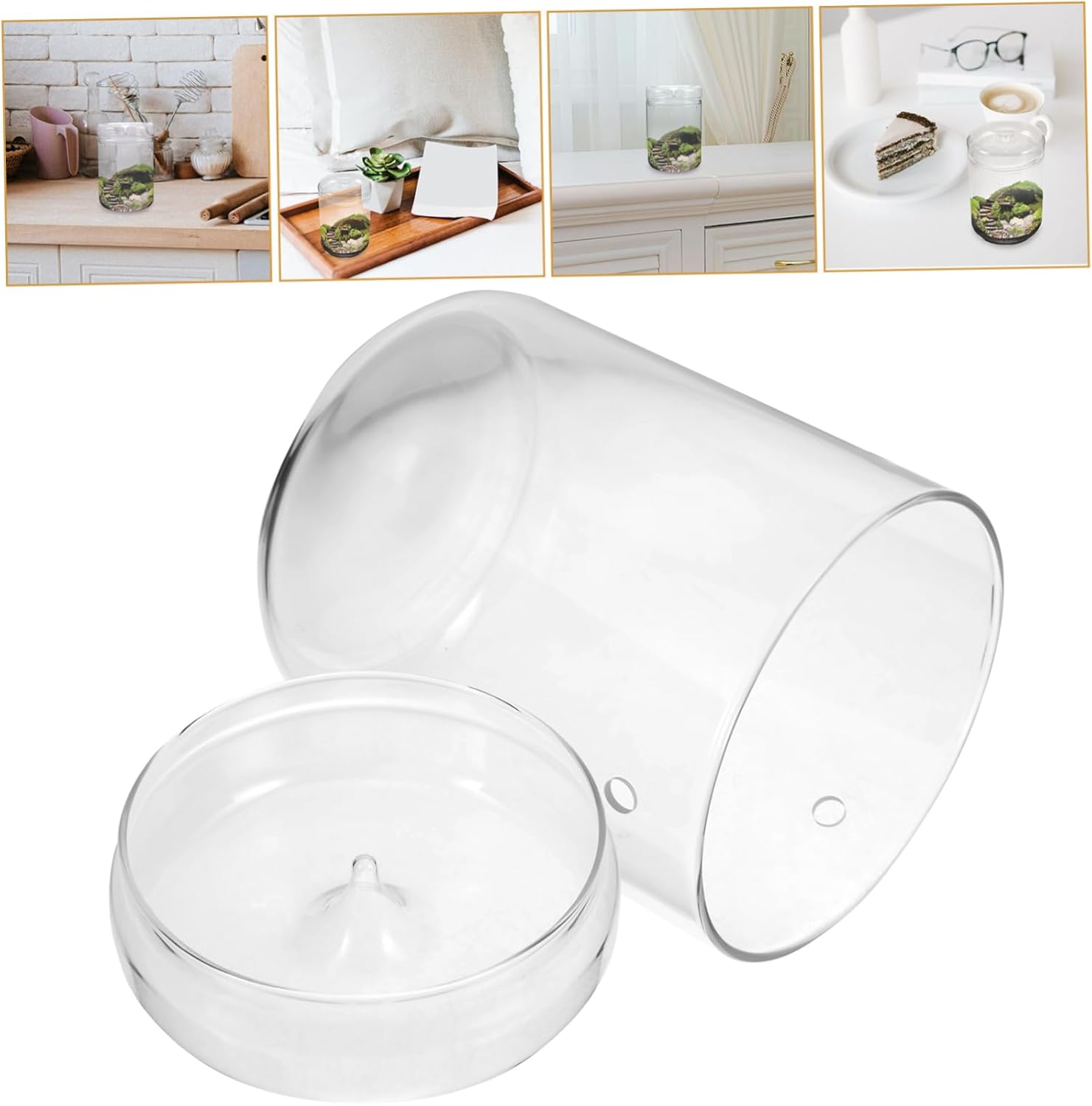 POPETPOP Terrarium Glass Planter Bottle Compact Landscape Container for Plants Creative Tabletop Display Sturdy Stylish Design for Home Office Decor
