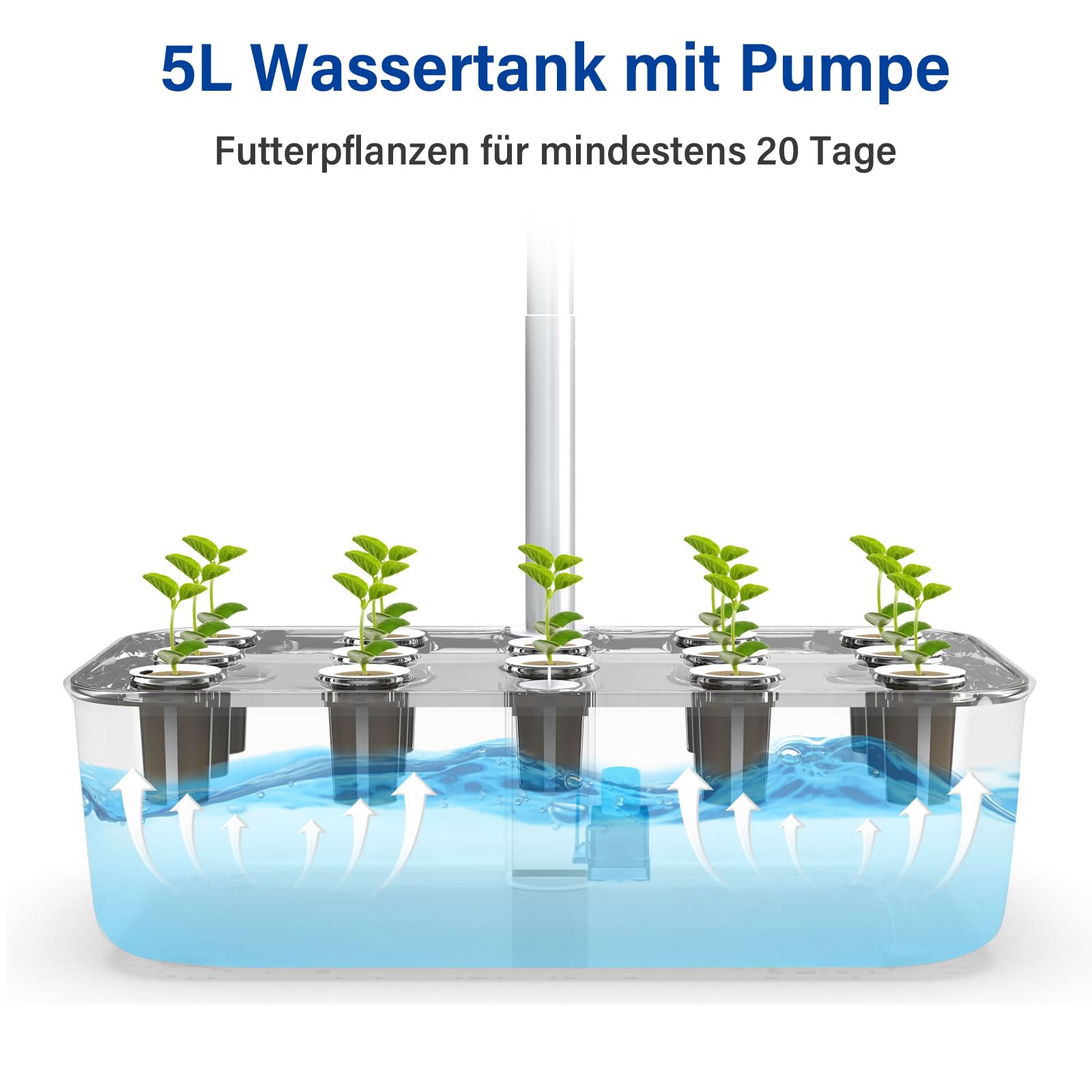 Smart Garden, sistema hidropónico WiFi, 12 macetas, jardín de hierbas para interiores con LED ajustable, cosecha frescura directamente en casa