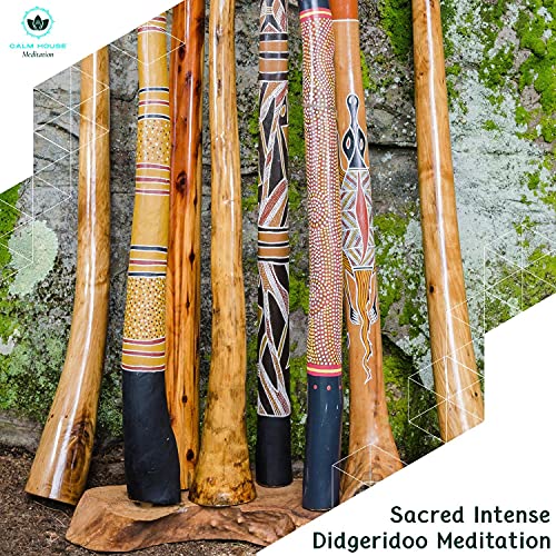 Sacred Intense Didgeridoo Meditation von Kevin Drumming Tribal Dance
