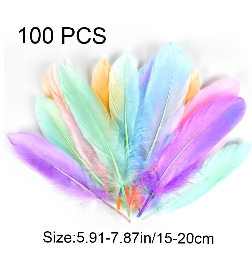 Amazon.co.jp: 羽根 ナチュラルグースフェザー カラフルな白鳥の羽
