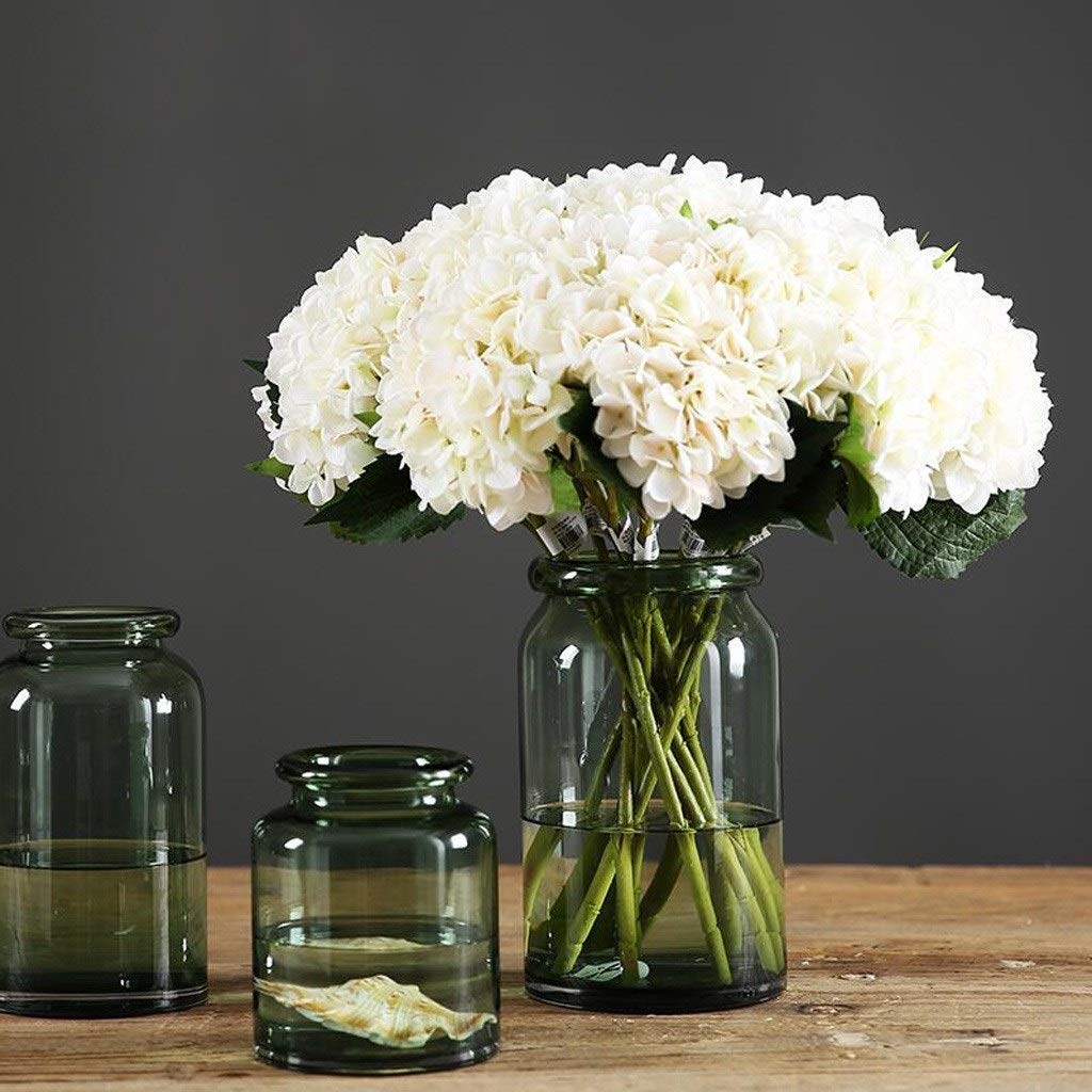 ●MODERN VINTAGE GLASS FLOWER VASE● Amazon.com: Modern Minimalist Tint Glass Flower Glass Vase