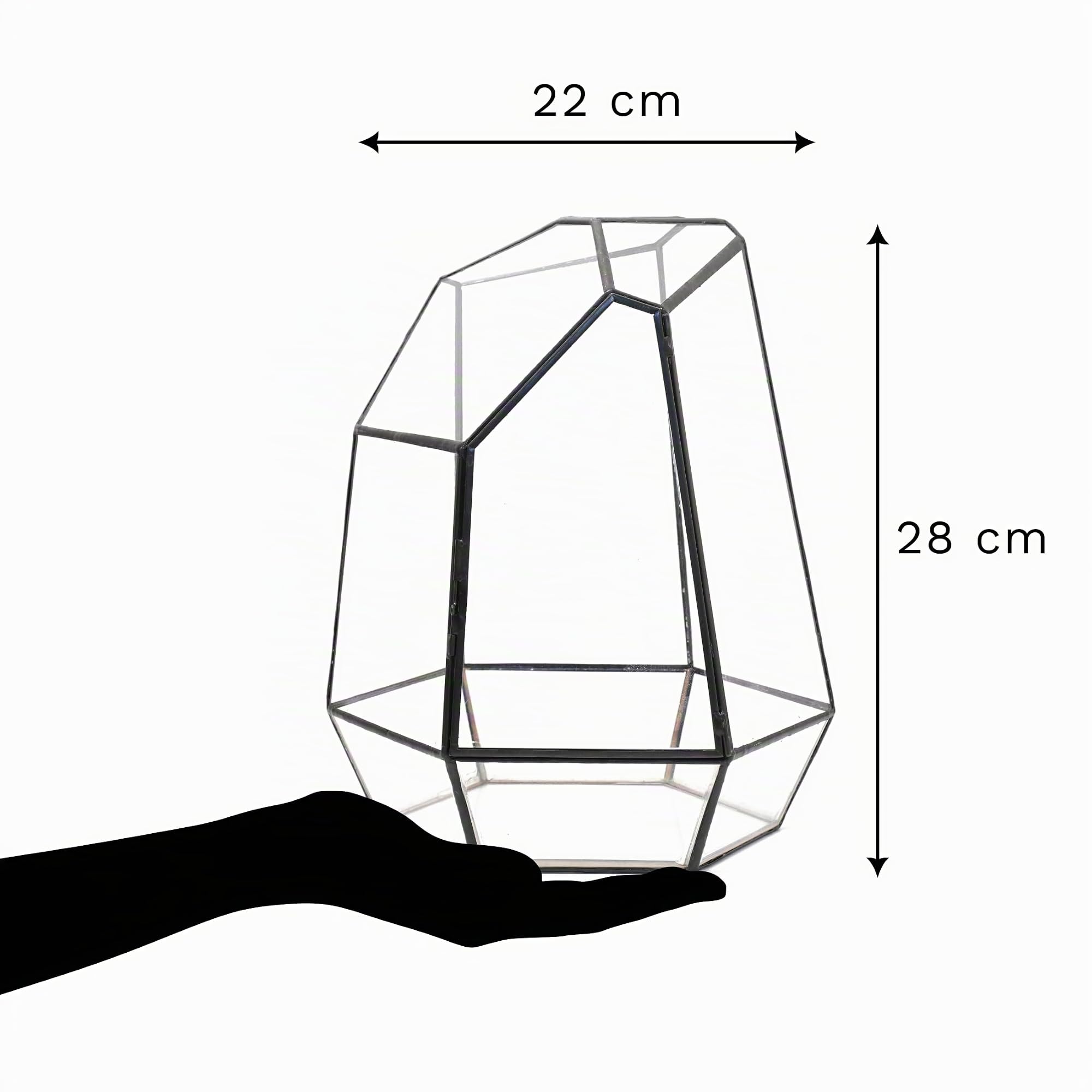 NOCTIS - Kit Terrario Completo FAI da TE in Vetro per Piante con Substrato e 10 Strumenti Inclusi - Struttura dal Design Geometrico - Ecosistema Autonomo, Cofanetto Creativo (senza Piante)