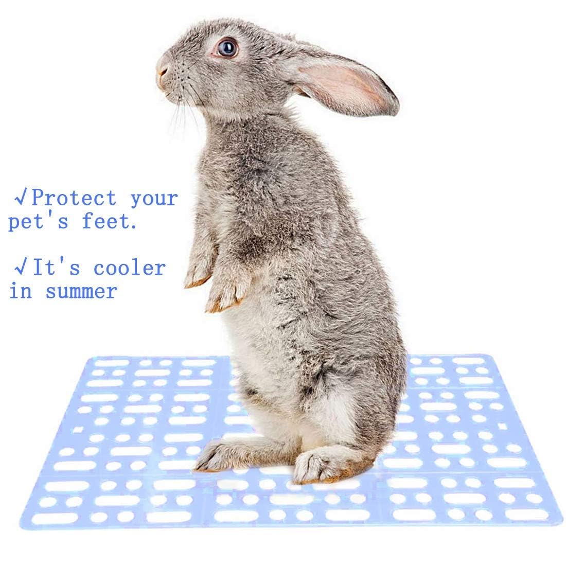 Snapklik Com Hamiledyi 8 Pcs Rabbit Cage Mats Small Animal Photo Inspiration