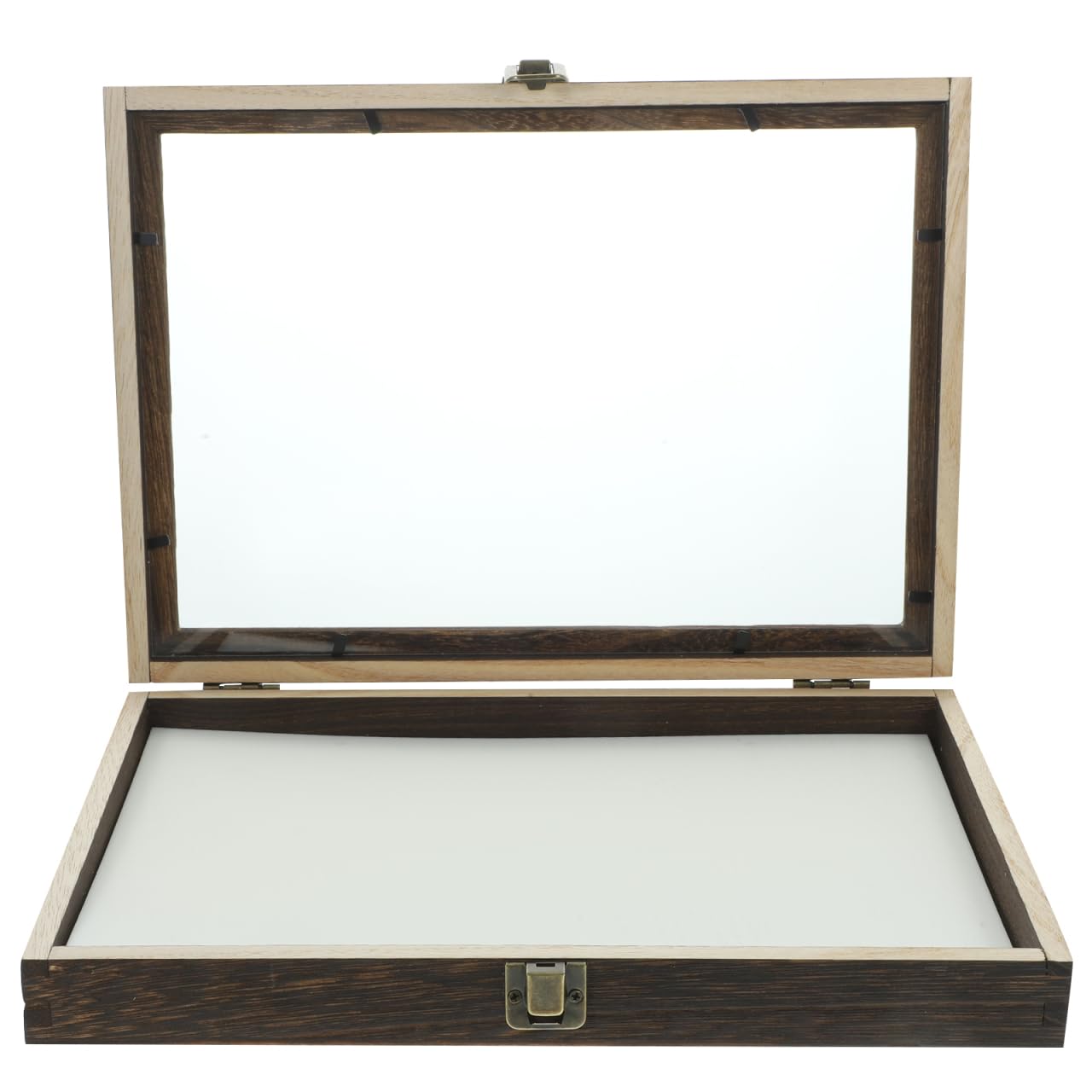 PRETYZOOM Scatola Esposizione Insetti in Legno 12.20X8.66X1.57In Vetrina Trasparente Per Campioni Di Farfalle E Insetti Con Tappetino Multifunzione Per Collezione E Studio