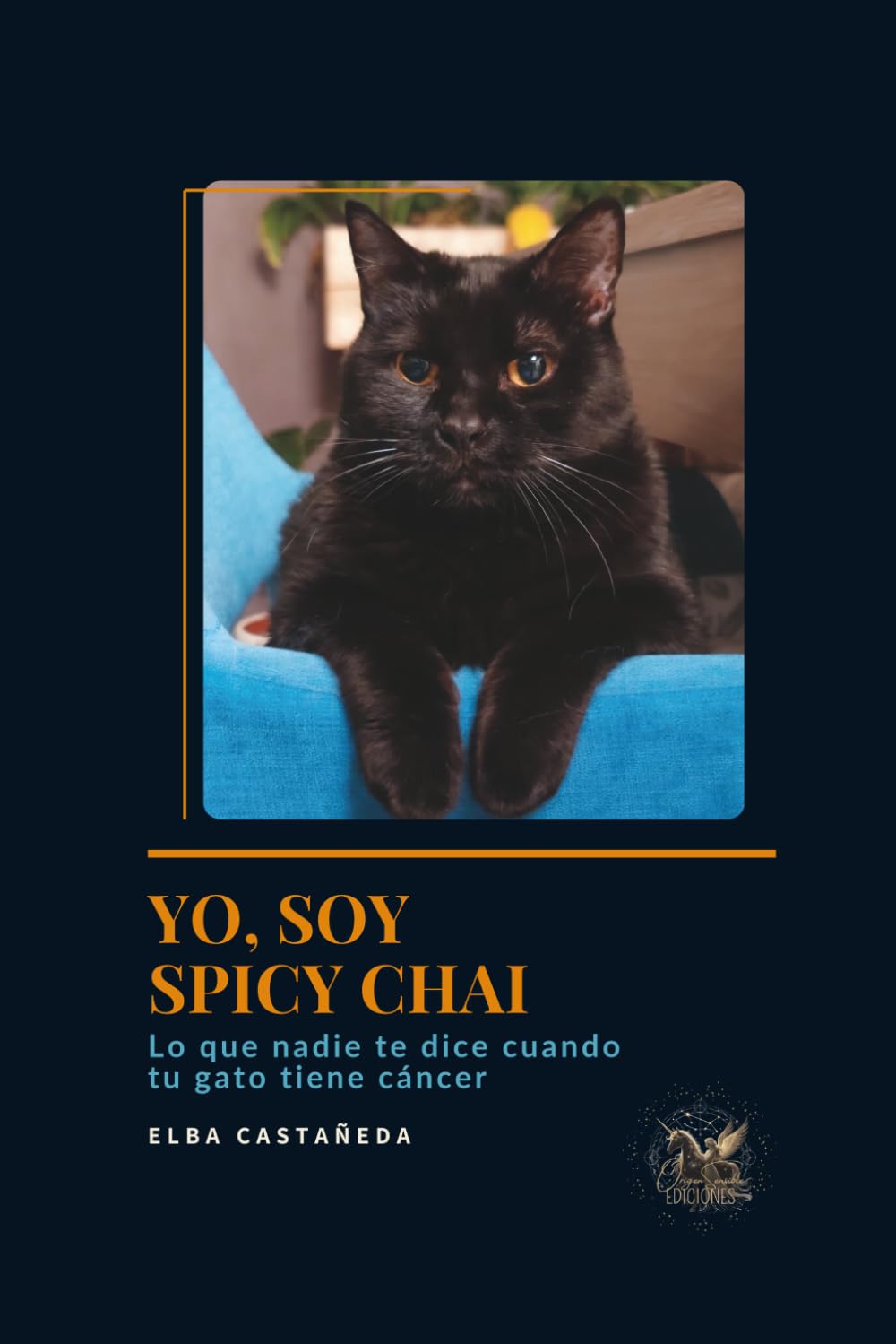 Yo, soy Spicy Chai. Lo que nadie te dice cuando tu gato tiene cáncer