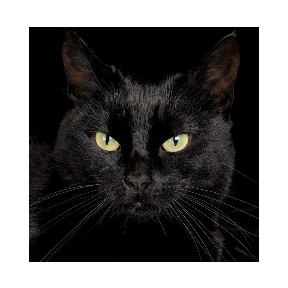 Yscolor Black Mysterious Cat Diamond Paintings Cross Stitch Home Wall Art Decorations Embroidery Resin Diamonds Paste Diy Handmade Gifts 11.8X11.8 In/30X30cm