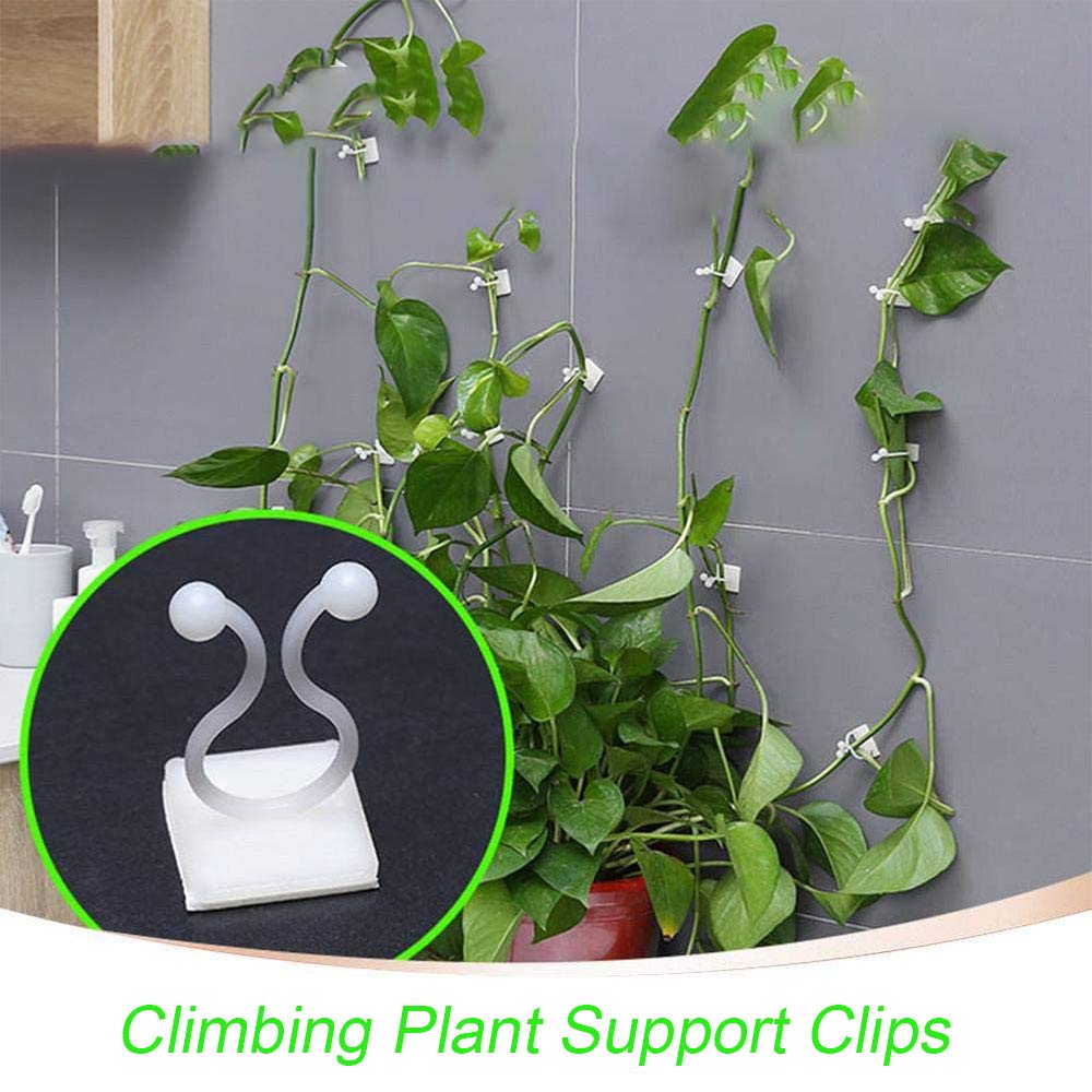 100 Clips Auto-adhésifs QUARKZMAN Pour Plantes Grimpantes | Fixation Murale De Fils | Pour Intérieur/extérieur (noir, 7.2mm)