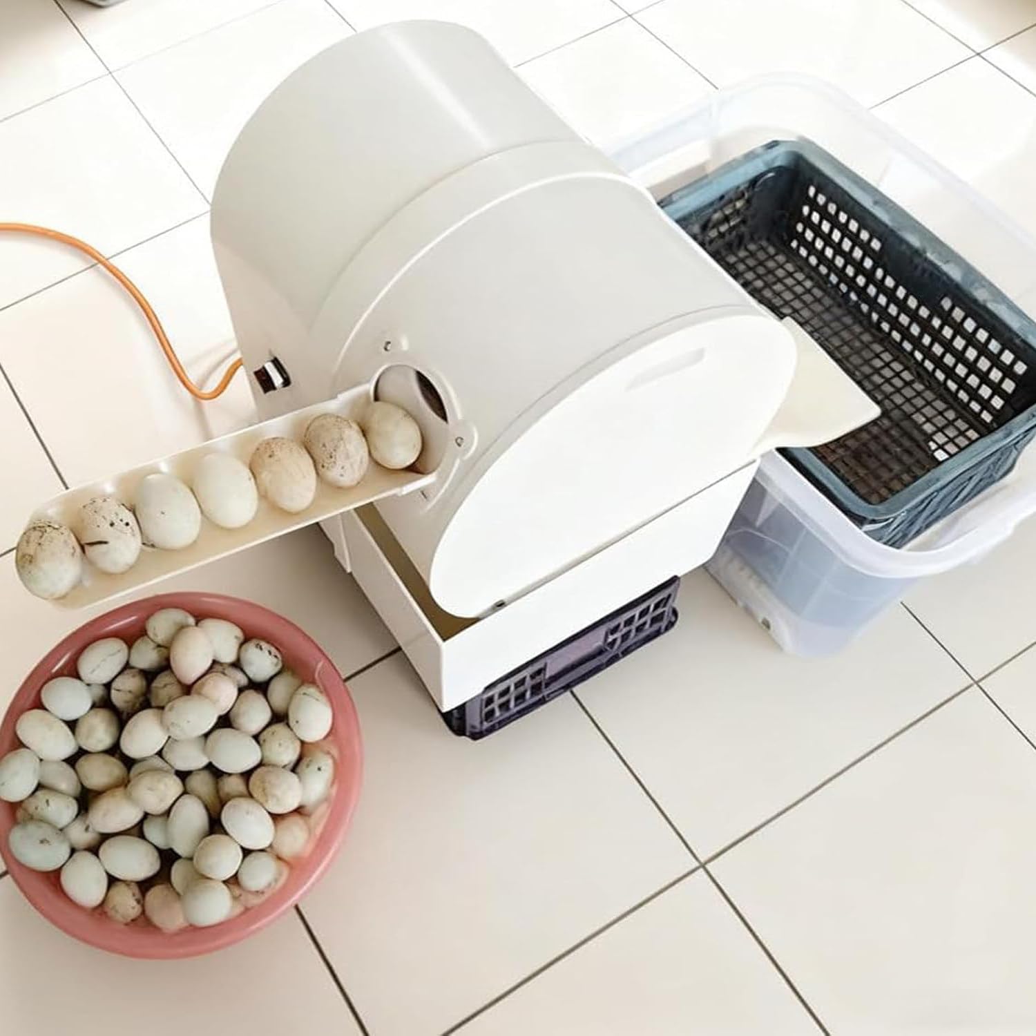 Lavauova Semiautomatica da 180 W, 2000 Pezzi/Ora, Lavauova Elettrico per Uova di Pollo, Anatra E Oca, Pulizia di Grandi Quantità di Uova in Fattorie E Ristoranti