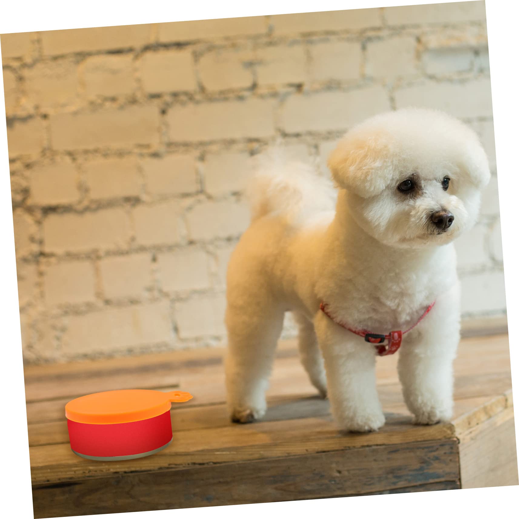 Angoily 4pcs Pet Can Lid Cat Can Food Canned Meals Dog Food Tin Lid Dog Can Cover Universal Feeding Supplies