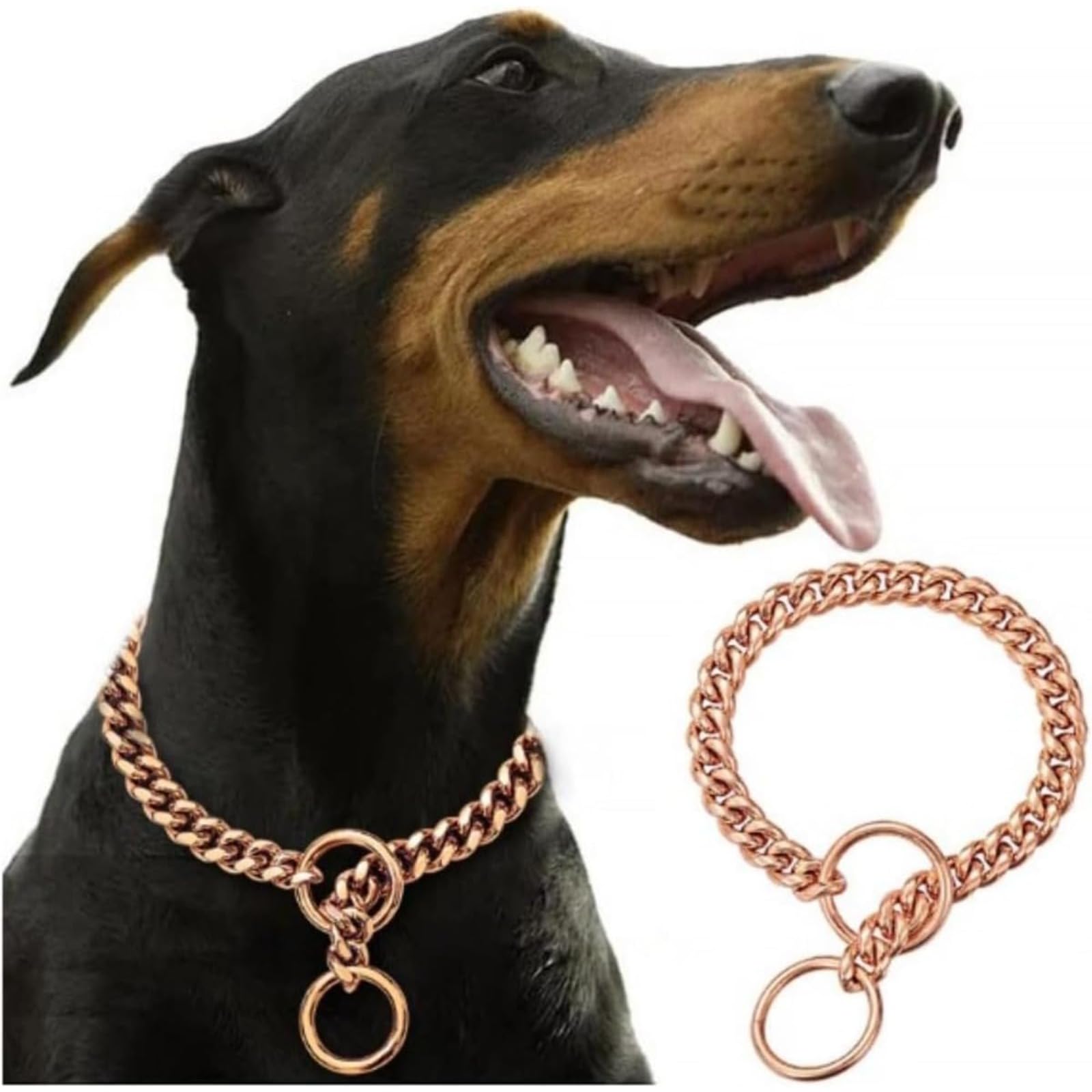 Amazon | WhiteForest 犬の首輪 ファッション ゴールド 犬チェーン
