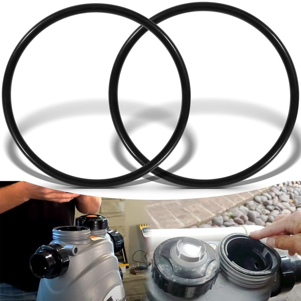 EasyByMall Set di 2 anelli O-ring antiscivolo in gomma fluoro per attrezzature da piscina fuori terra, guarnizione resistente agli agenti chimici e al calore, confezione da 2