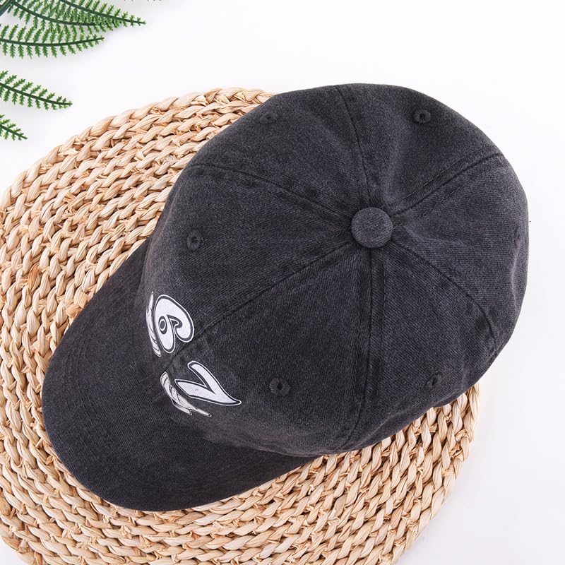 Gorra número 67 vintage de béisbol para cumpleaños miniatura 6