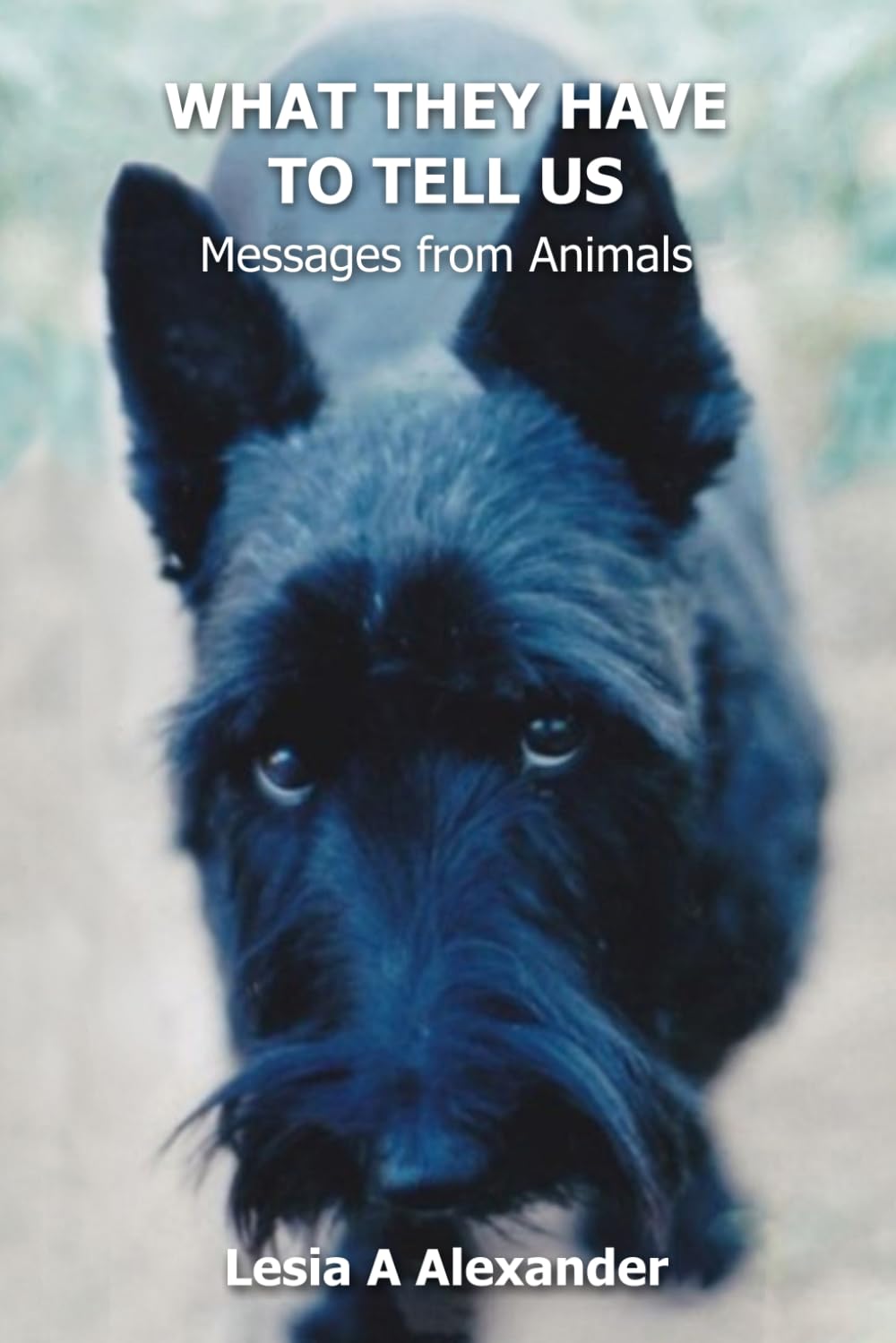 What They Have to Tell Us: Messages from Animals