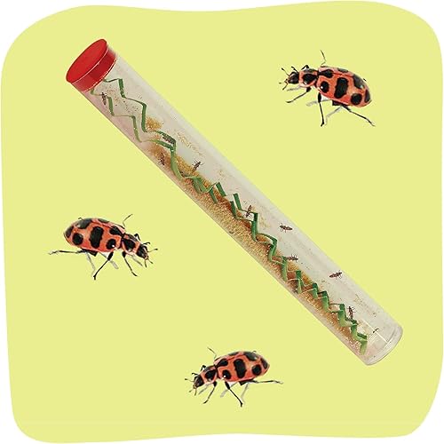 Miniatura 2 de Insect Lore Kit de cultivo de mariquita viva, hábitat de tierra de mariquita con 10-15 larvas de mariquita manchadas de color rosa vivo, criar,
