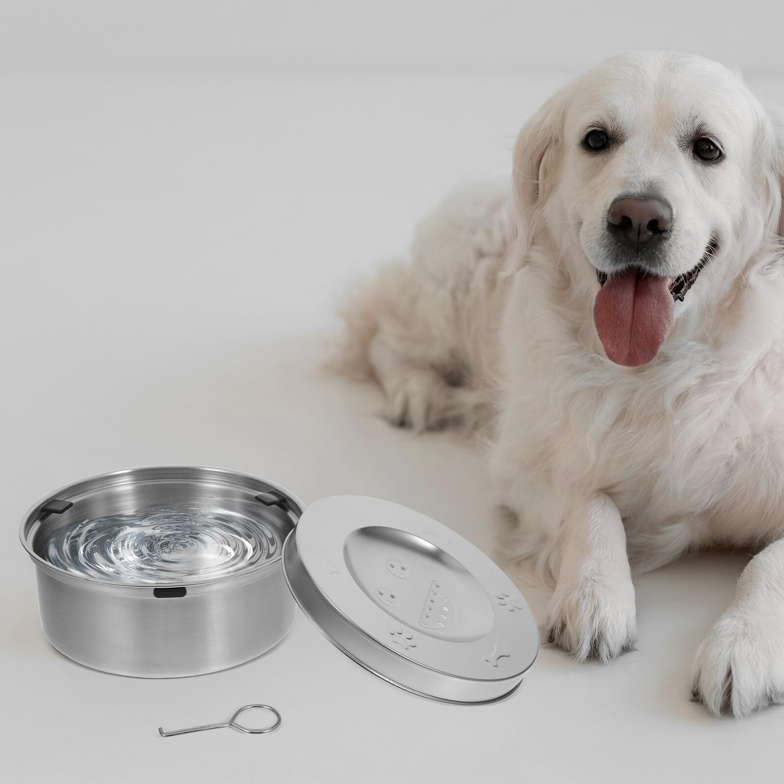 Edelstahl Wassernapf für Hunde und Welpen mit Langsamer Trinkfunktion Tropffrei und rutschfest für Gesunde Hydration und Sauberes Trinken zu Hause
