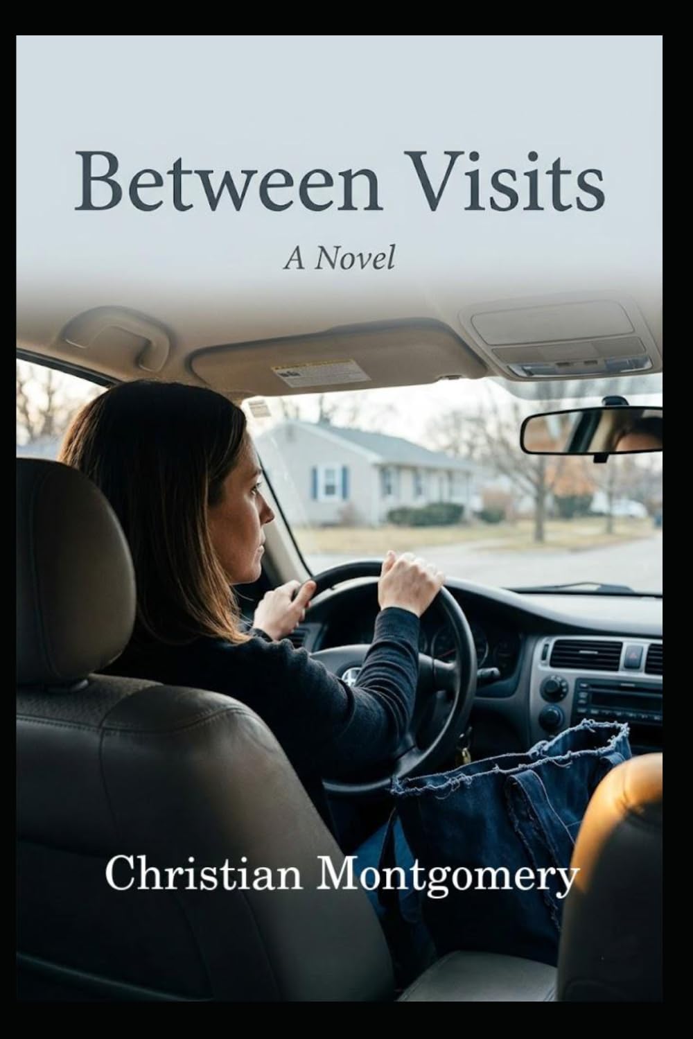 Between Visits: A Novel