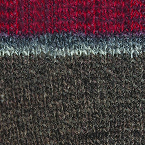 Image of Spinrite Yarns Patons Kroy Socks, 1.75 Ounce, Grey Brown