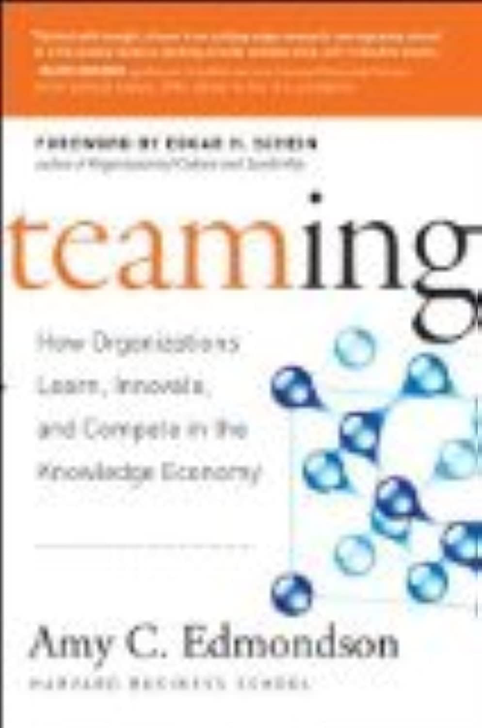 Teaming: How Organizations Learn, Innovate, and Compete in the Knowledge Economy - Image 3