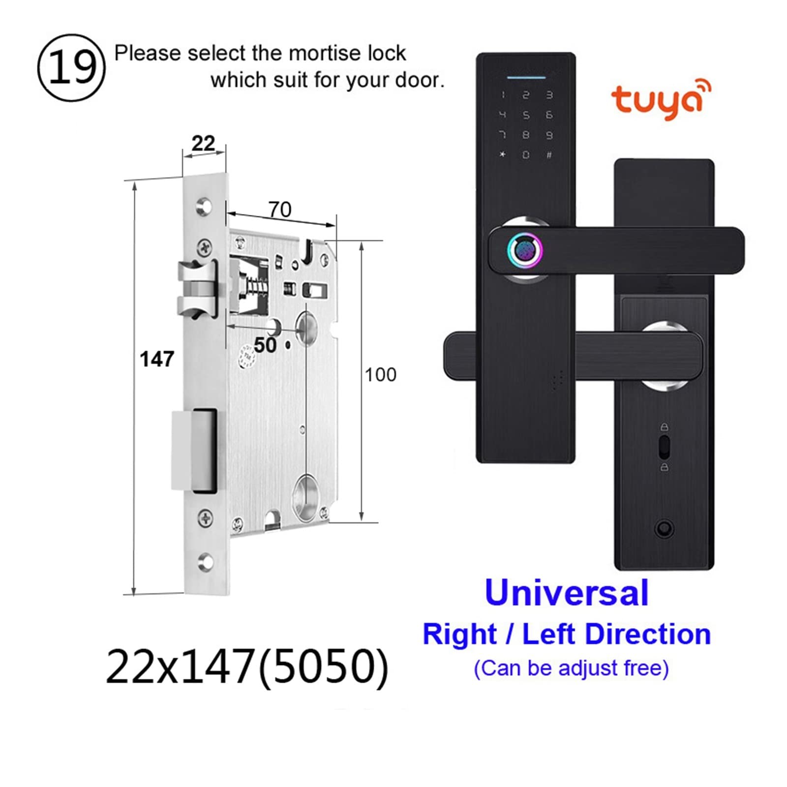 Serratura elettronica con APP Tuya da remoto/impronta digitale biometrica/smart card/password/chiave(FG5 Plus-22x147 5050)