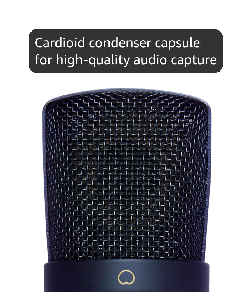 Marantz Professional MPM1000U USB Condenser Microphone for Gaming, Streaming and Podcasting - Built-In Audio Interface, Desktop Stand, Plug-and-Play, Black